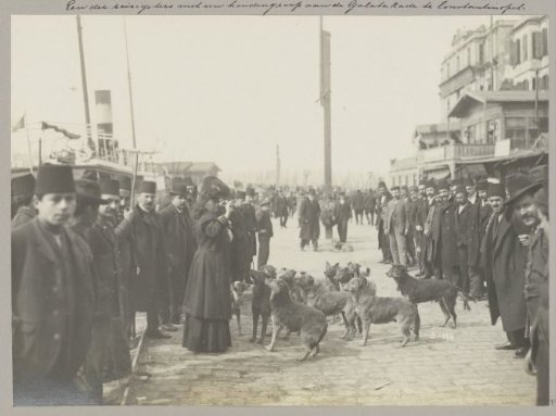 Female traveler with a group of dogs among men on the Galata Quay in Istanbul