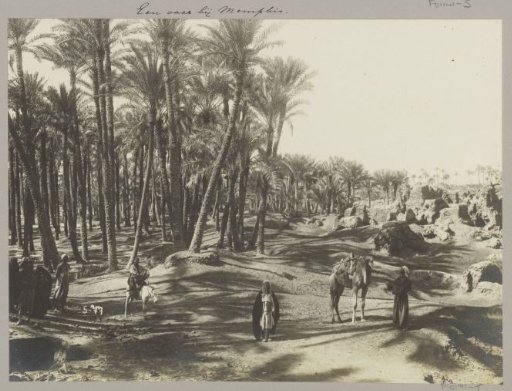 Oasis with ruins in Memphis