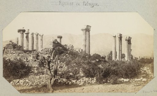 Remains of buildings with pillars in Palmyra (Syria)