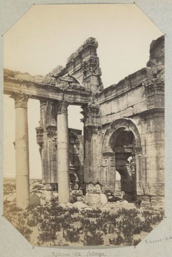 Remains of buildings with pillars in Palmyra (Syria)