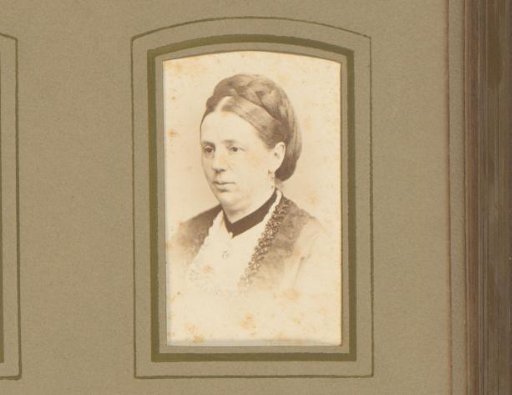 Portrait of a Woman with a Braid in Her Hair