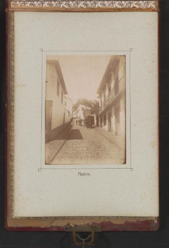 Sled drawn by oxen in a steep street on Madeira