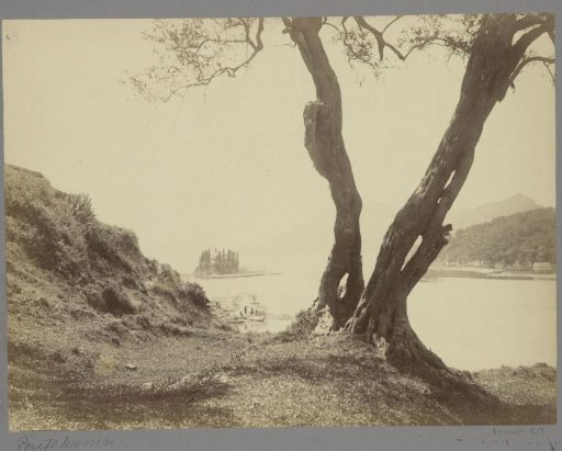 View of Pontikonisi near Corfu with trees and houses in the foreground