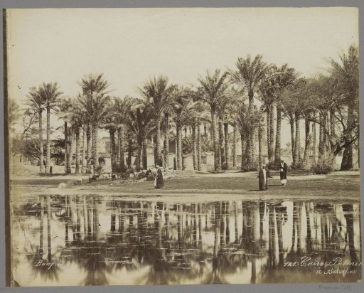 Men with goats under palms by the water in Bedrechen