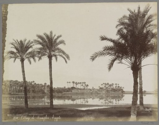 View of the village of Memphis in Egypt
