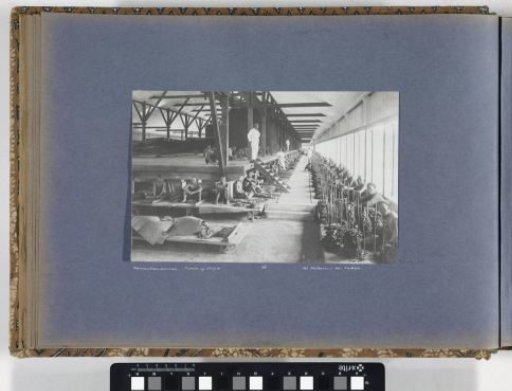 Interior of the fermentation shed Aneta Mineh, contract workers in the sorting room Helvetia, Sumatra