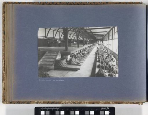 Chinese contract workers sorting tobacco leaves in a fermentation shed, Sumatra