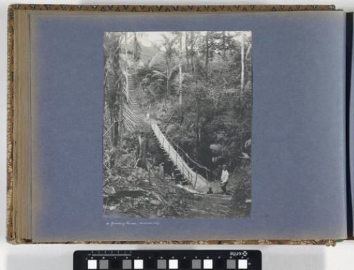 Suspension bridge in the jungle at the Goenoeng Rinteh enterprise of the Senembah Maatschappij on Sumatra