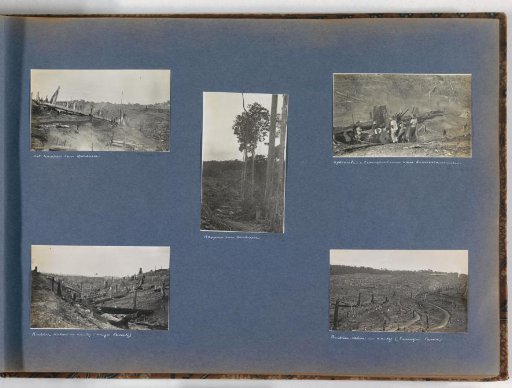 Clearing of primeval forest for the establishment of a rubber plantation of the Deli Company at Soengei Tassik on Sumatra