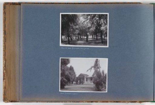 Trees in the garden of Hotel Tjisoeroepan near Garut in Preanger