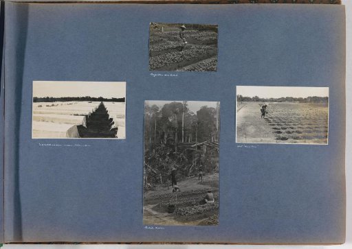 Man watering seedlings (bibit) on Sumatra