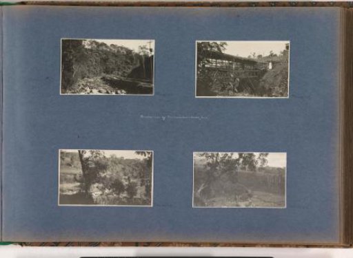 Landscape with trees and terraces near Wonosobo on Java