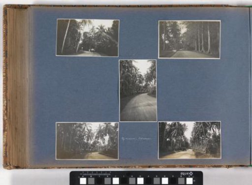 Road from Medan to Belawan on Sumatra