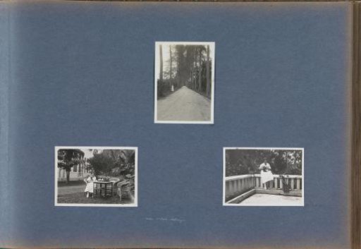 Woman identified as 'Mrs. v/d. Sta[(...)]-Oostmeijer' standing in the verge of a road in the Dutch East Indies