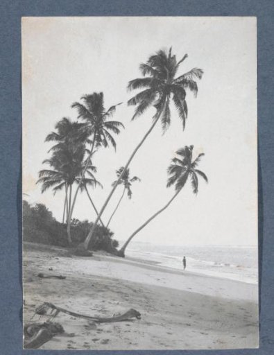 Elephant with child and driver in Ceylon