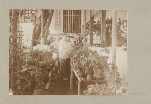 Woman and children surrounded by plants