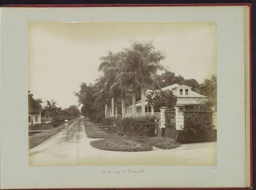 Houses on the Grote Combéweg in Paramaribo
