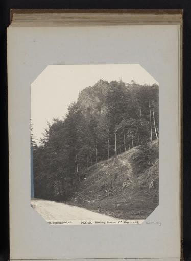 View of the rock formation Ilsestein in Ilsenburg