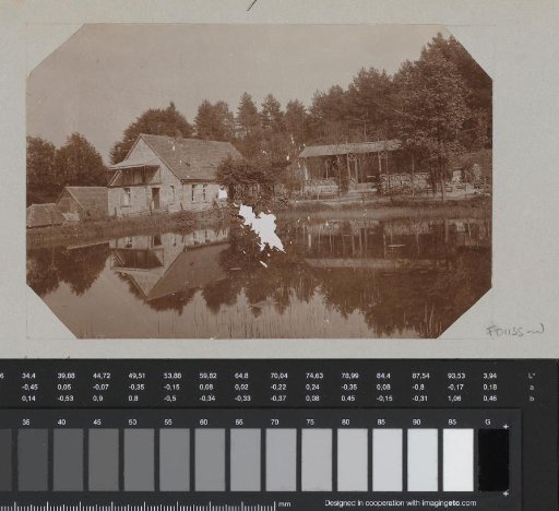View of a watermill near Horn-Bad Meinberg