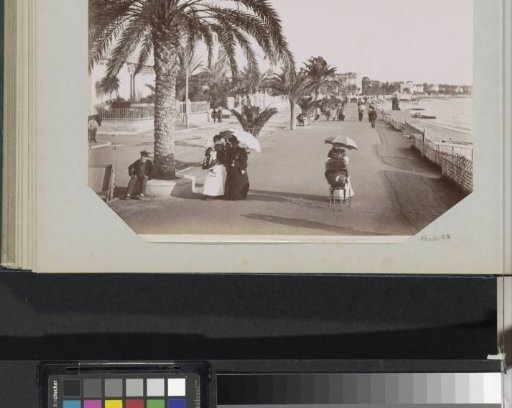 Boulevard with pedestrians, probably at Hyères