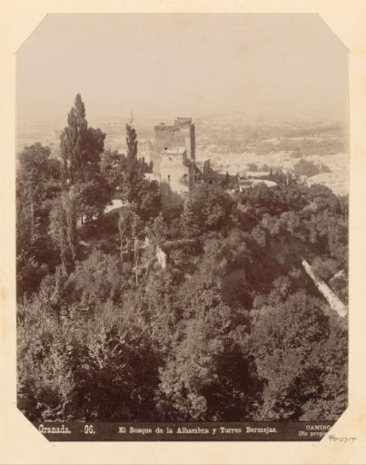 View of the Torres Bermejas and the forest around the Alhambra at Granada