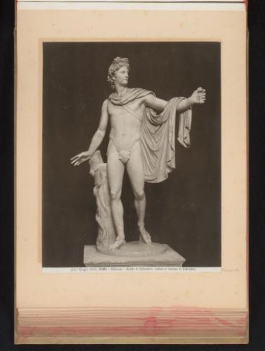 Apollo Belvedere in the Vatican Museums in Vatican City