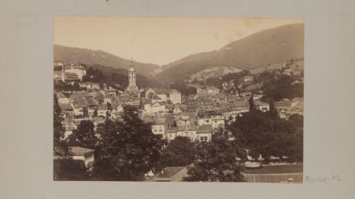 View of a town in the Alps, probably in Germany