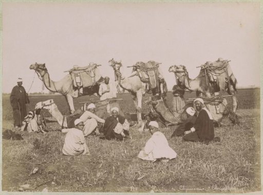 Camel drivers and their animals during a rest break