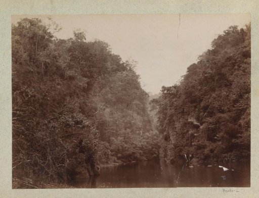 Landscape with river and forest, presumably in the Philippines