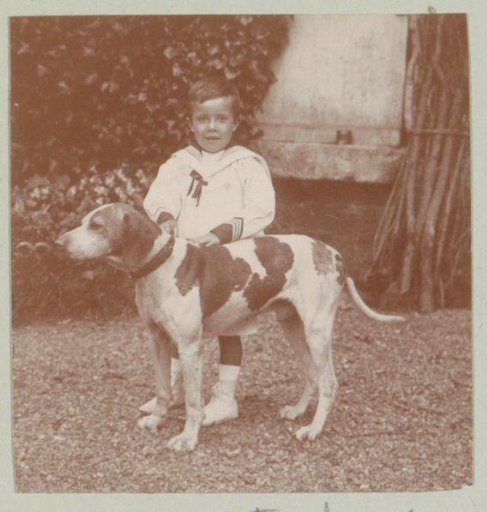 Portrait of a small child in a sailor's suit with a dog, probably in Italy or France