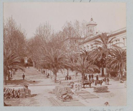 Square with Palms and Wood Sellers, Probably in Southern France