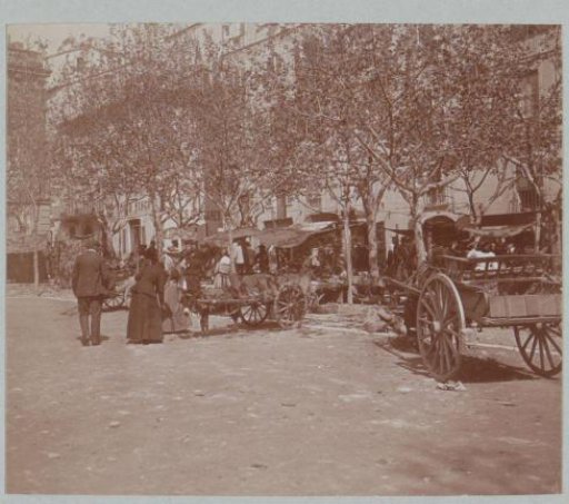 Square with market and donkey carts, probably in Corsica