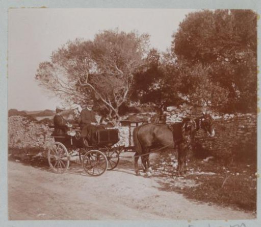 Group in a carriage, presumably on Corsica