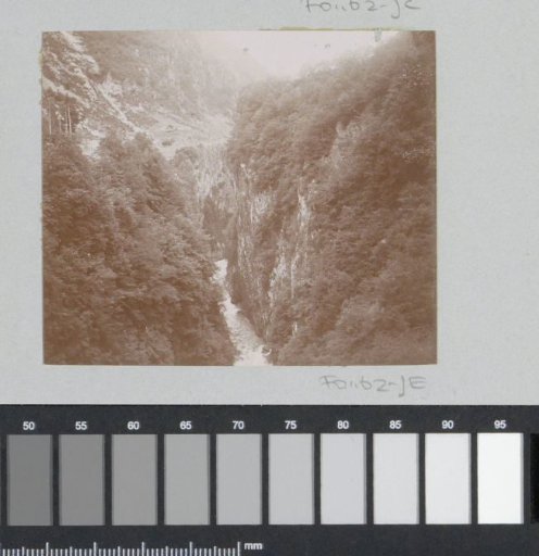 Gorge with a stream, probably in the Pyrenees