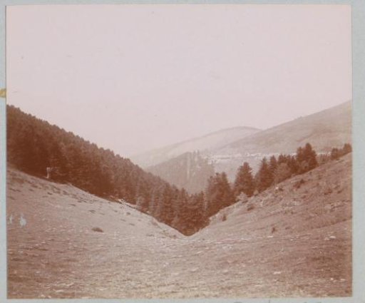 Mountain landscape with a forest, probably in the Pyrenees