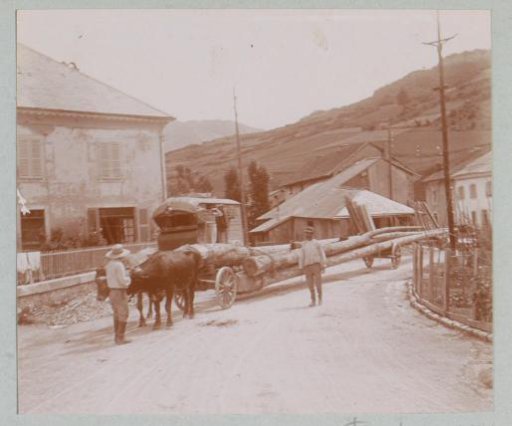 Transport of logs with oxen in a village street, probably in France