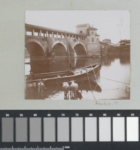View of the Ponte Coperto (Ponte Vecchio) in Pavia with cattle and a boat on the bank of the Ticino in the foreground