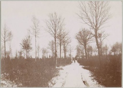 Snow-covered path, probably near Arcachon