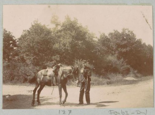 Uniformed man holding a horse by the bridle on a forest path, possibly holding a camera in his hand, probably near Pontoise