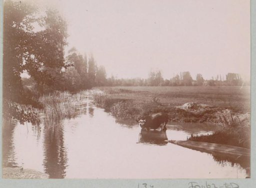 Landscape with a cow in a stream, probably near Lisieux