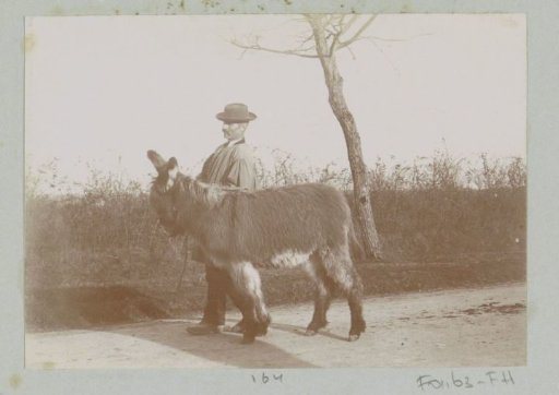 Man with a donkey on a country road in France