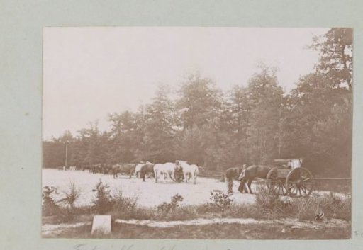 Horses and carriages in a military camp at Fontainebleau