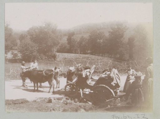 Oxen Pulling a Broken-Down Automobile on a Country Road, Probably in Central France