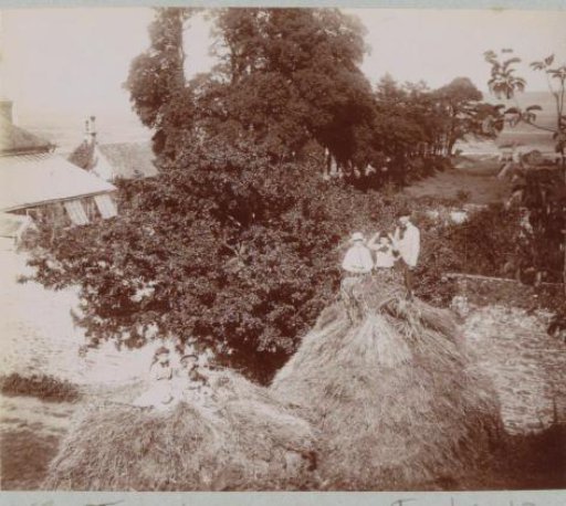Children on haystacks, probably in Brittany