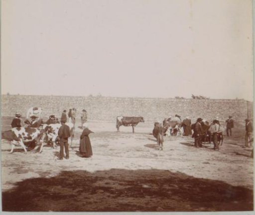 Cattle market in Saint-Vougay
