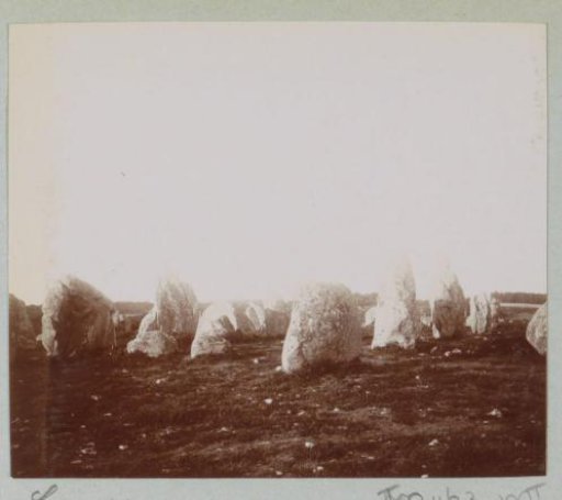 Menhirs (megaliths) of Carnac