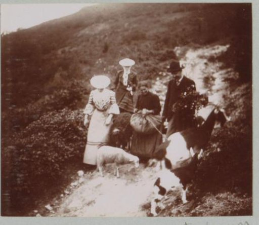 Company passing sheep and goats on a mountain path, probably in the Auvergne