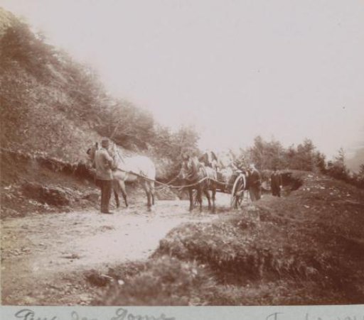 Company with a horse-drawn cart on a country road in Puy-de-Dôme