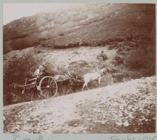 Company with a horse-drawn cart on a country road in Puy-de-Dôme