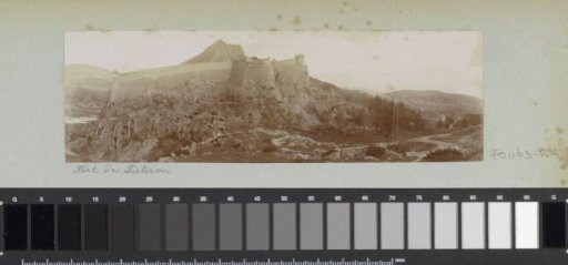 View of the Fort of Sisteron